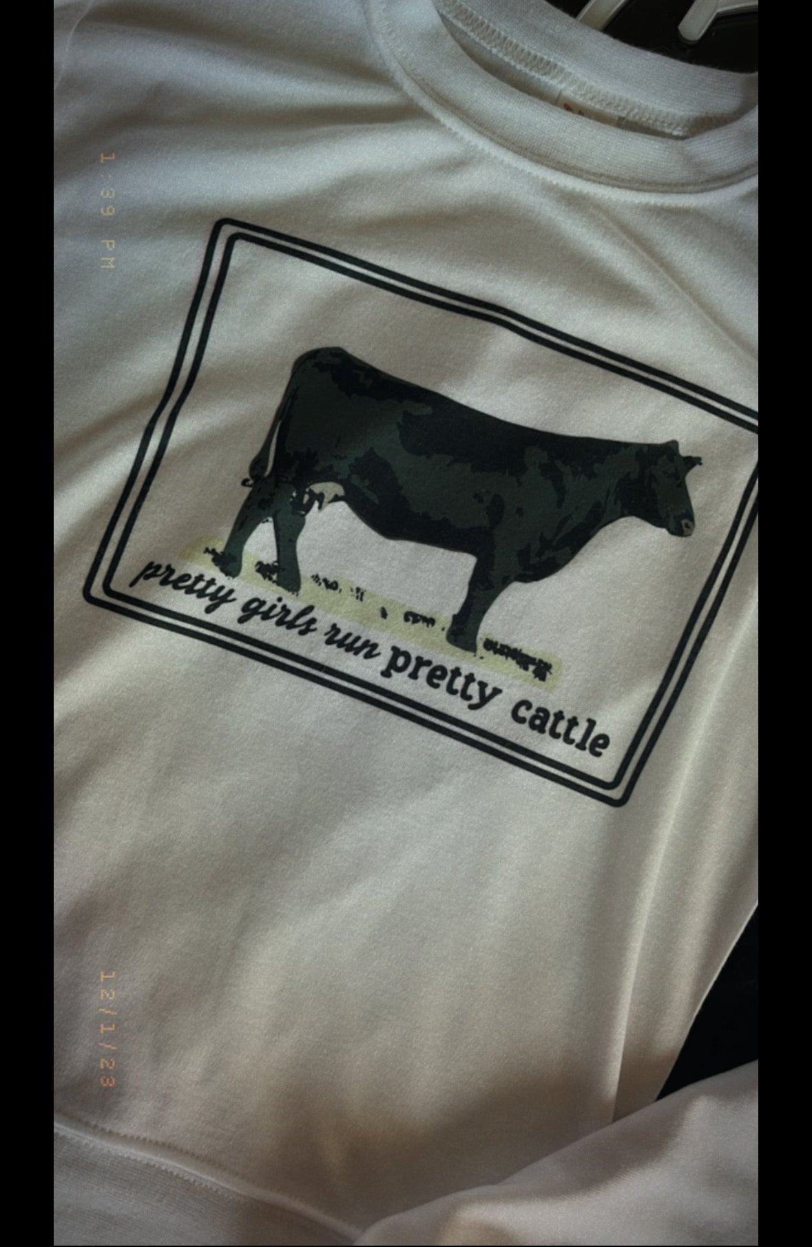 the Pretty Girls |Pretty| Cattle {ladies}