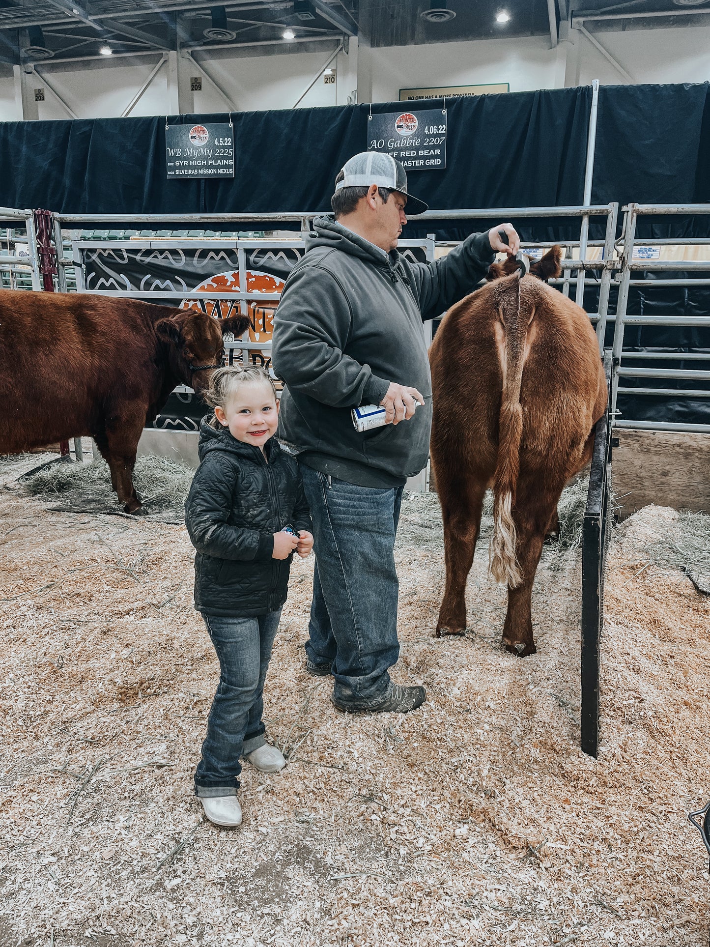 the Punchy |Puff| jacket {littles}