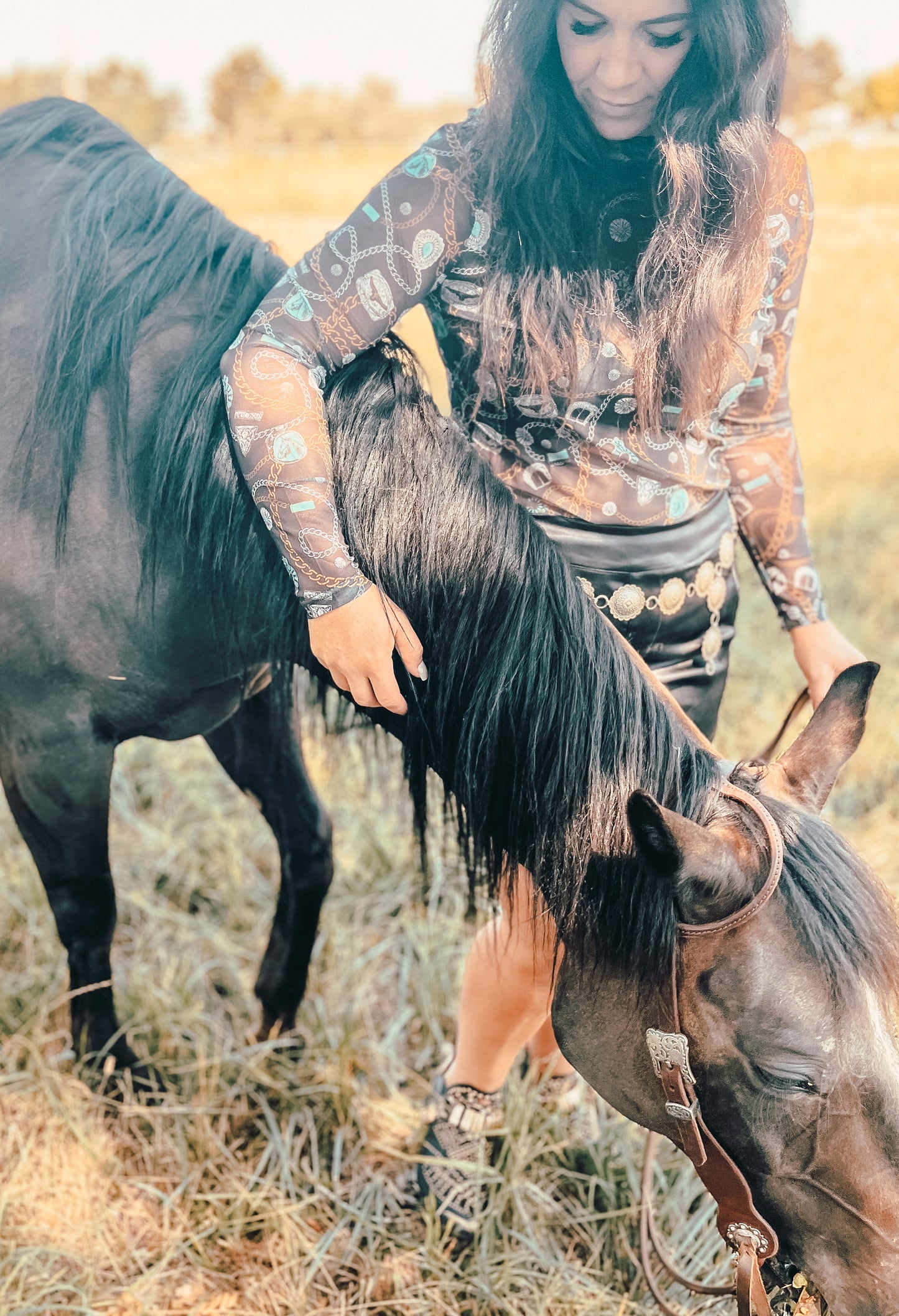 the Cowboy |Lux|