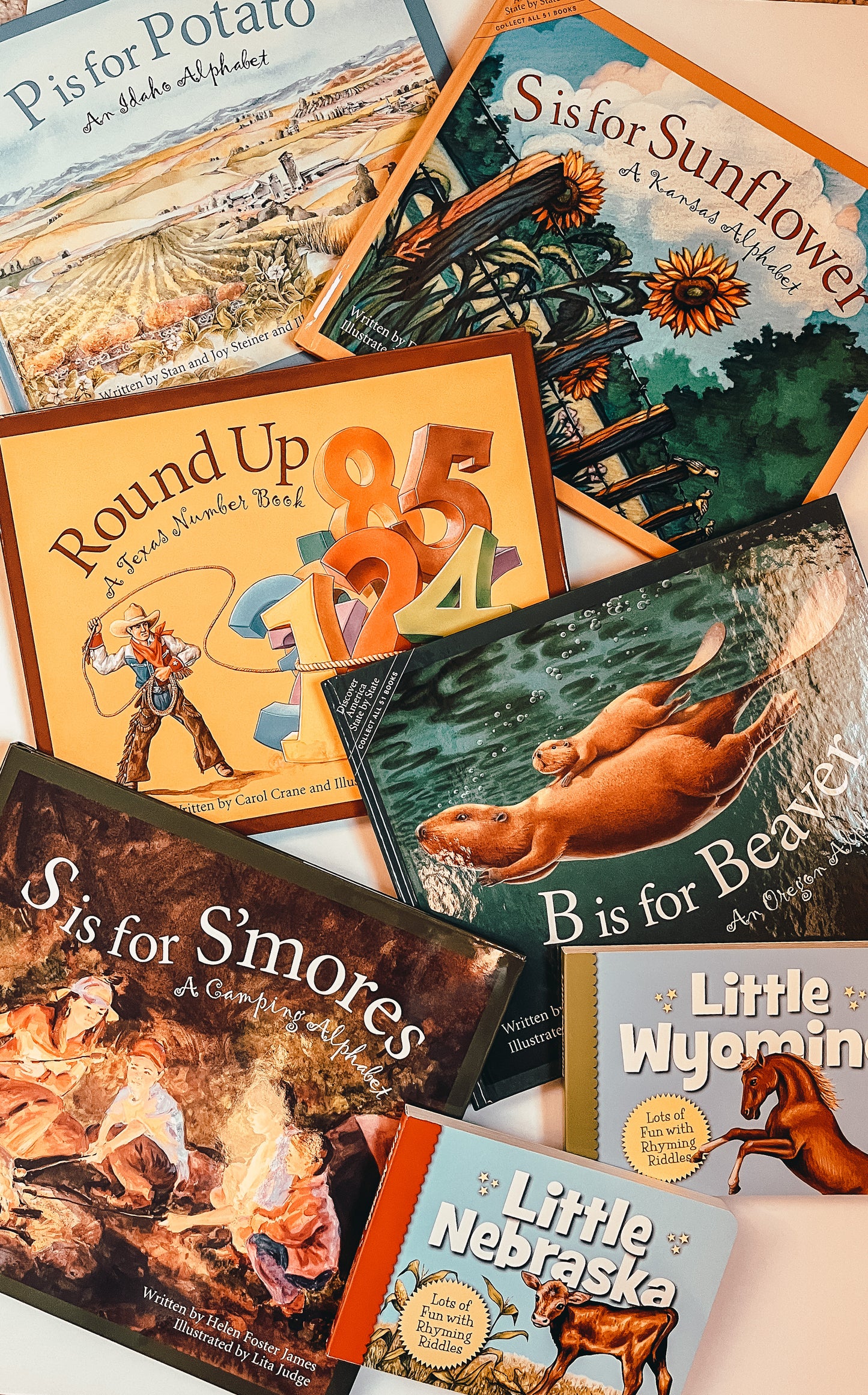 the Round Up: A |Texas| Number book