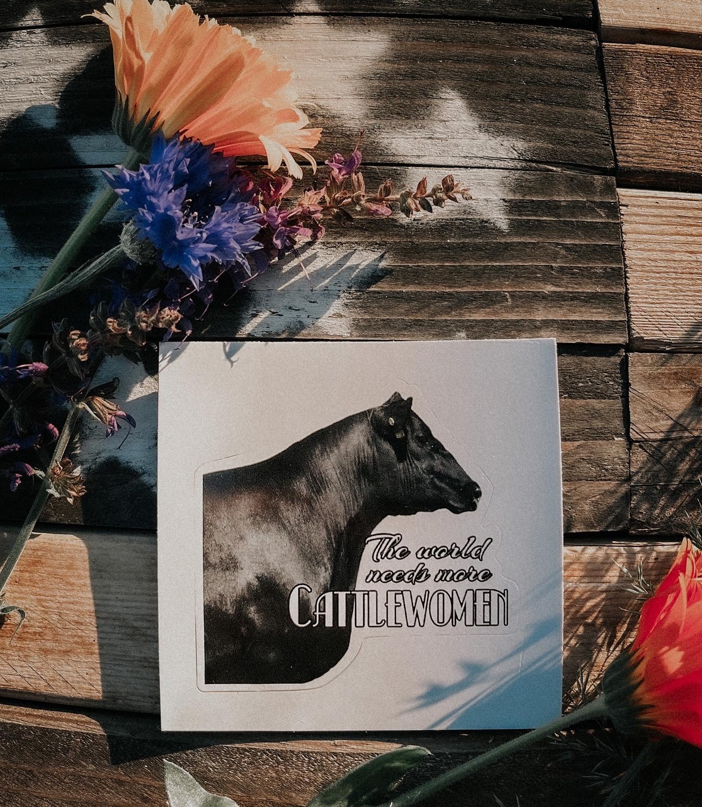 the World Needs More |Cattlewomen| sticker