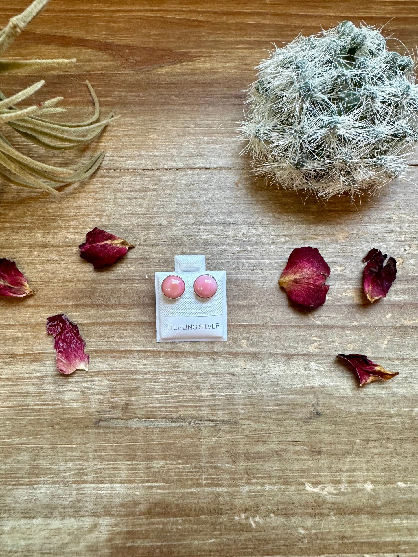 the |Maybelle| Pink Conch Studs