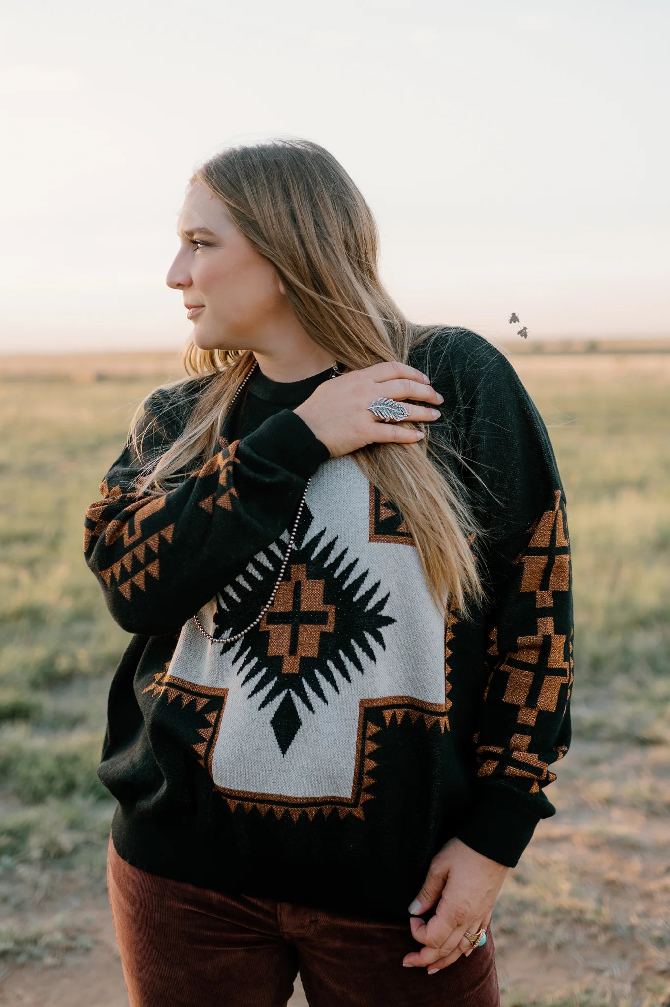 the Wild |West| sweater