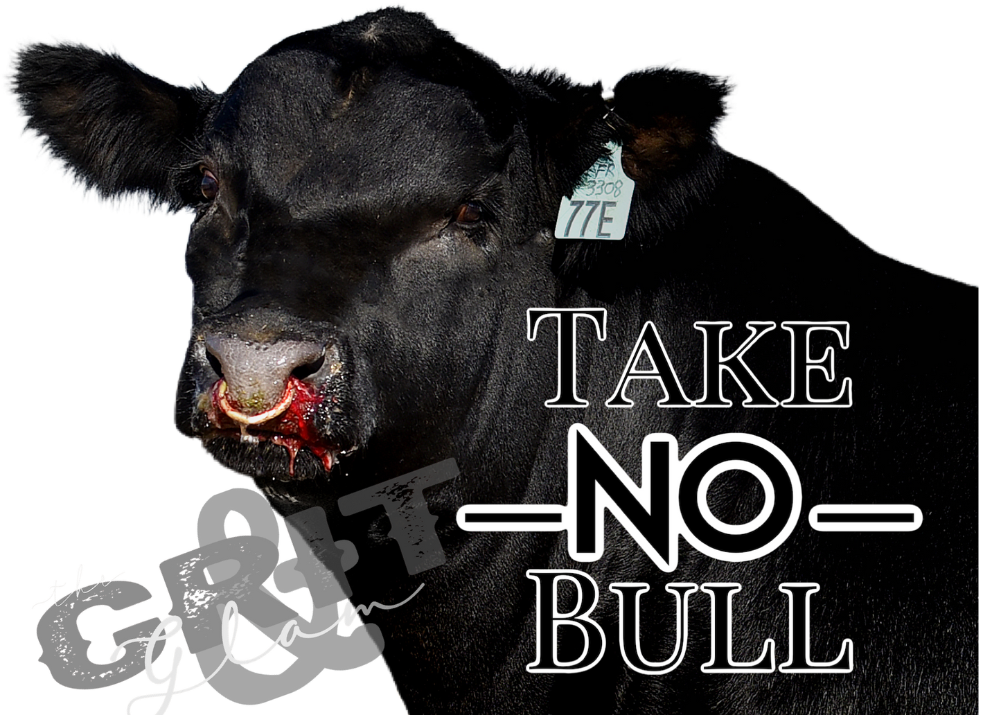 the Take |No| Bull onesie + tee
