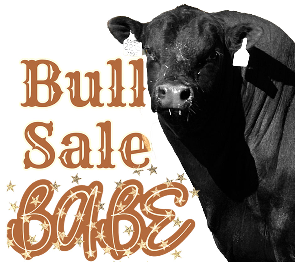 the |Bull| Sale Babe [Black Hided] onesie + tee