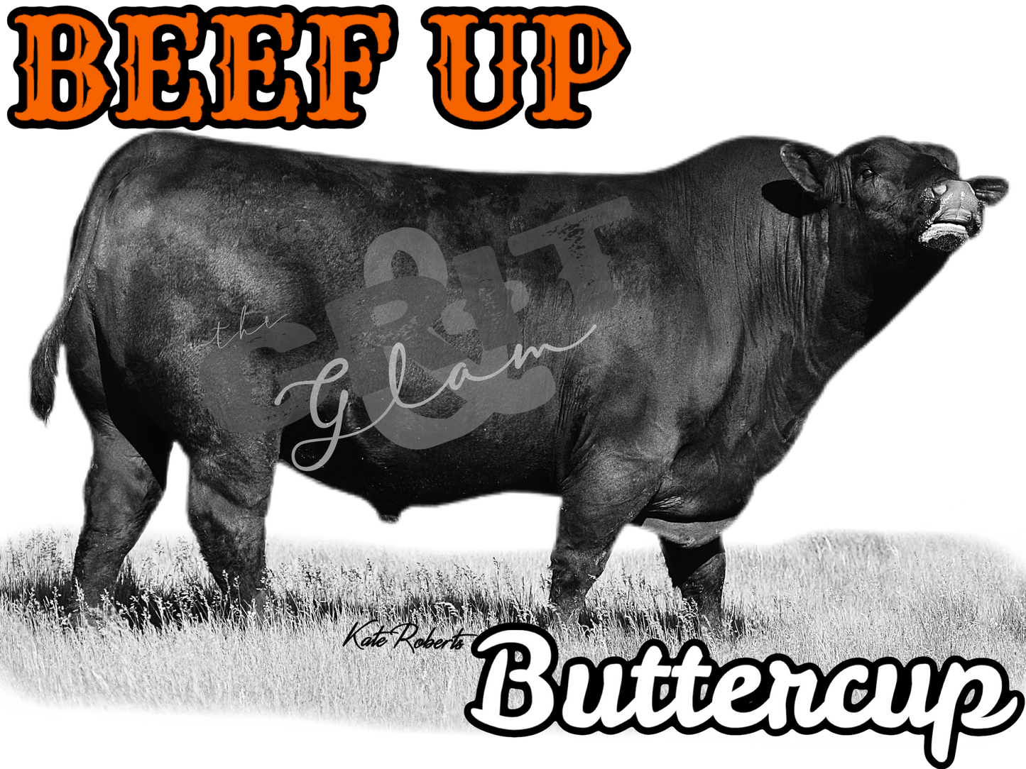 the |Beef Up| Buttercup onesie + tee