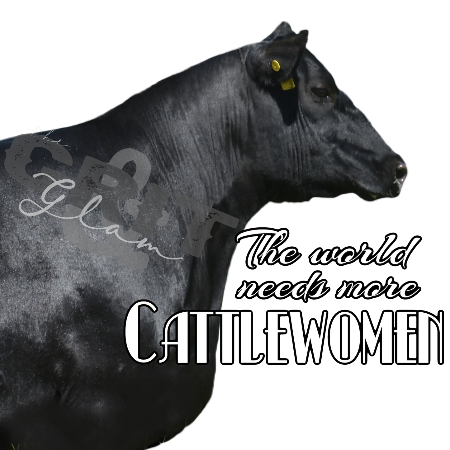 the World Needs |More| Cattlewomen ladies tee