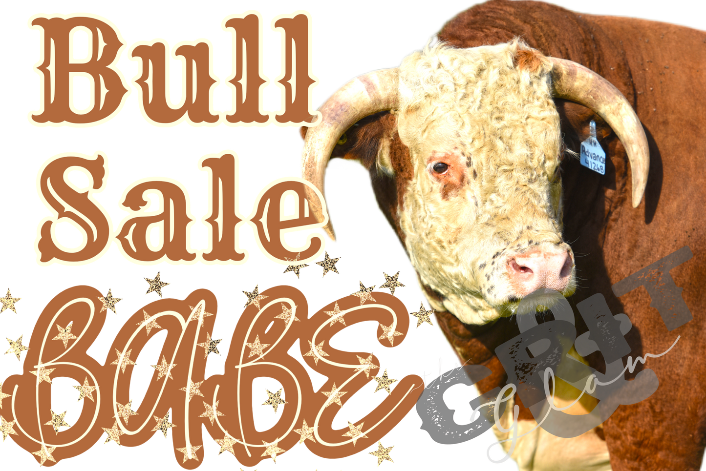 the |Bull| Sale Babe [Hereford] onesie + tee