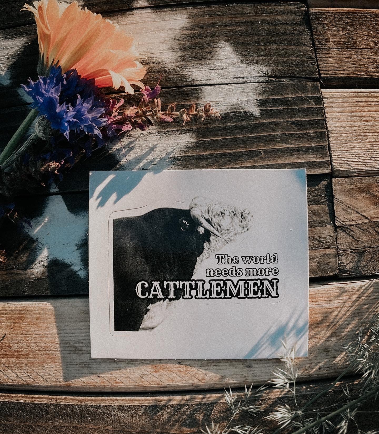 the World Needs More |Cattlemen| sticker